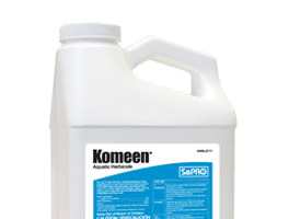 Komeen