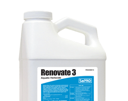 Renovate 3