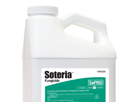 Soteria