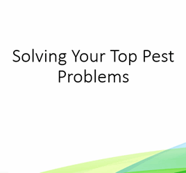 Top Pest Problems.png