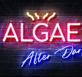 algae-after-dark.jpg