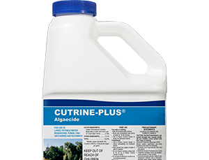 Cutrine Plus