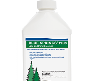 Blue Springs Plus