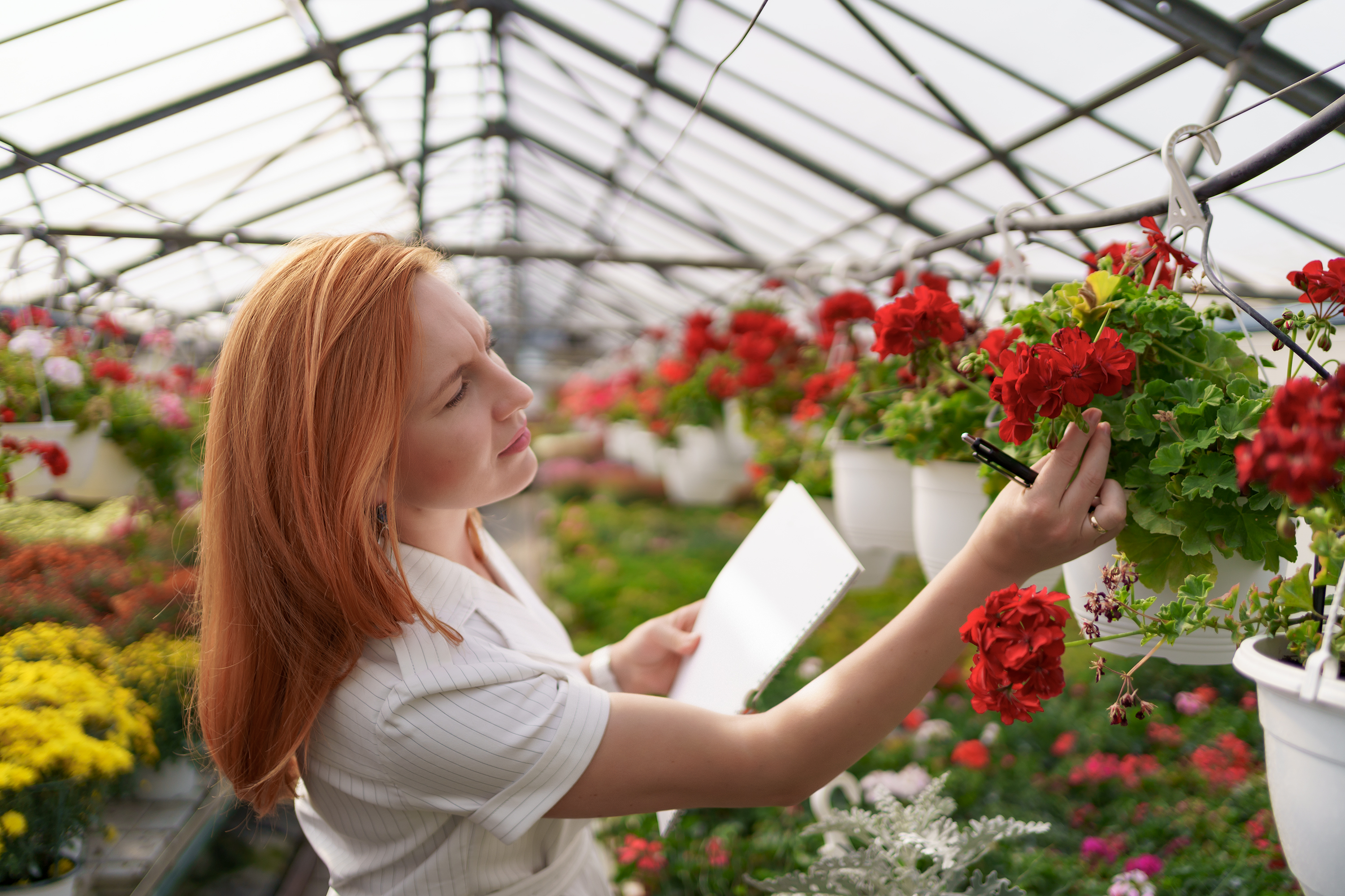 woman-inspecting-flowers-in-greenhouse-2021-08-29-19-05-12-utc.jpg