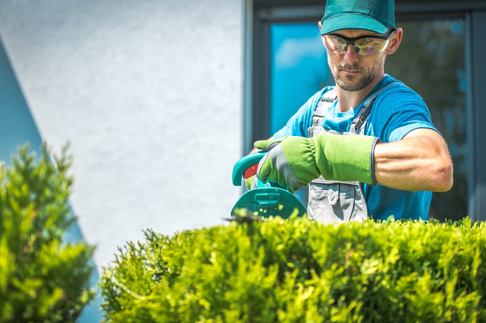 gardener-trimming-shrub-2021-08-26-23-04-51-utc.jpg (1)