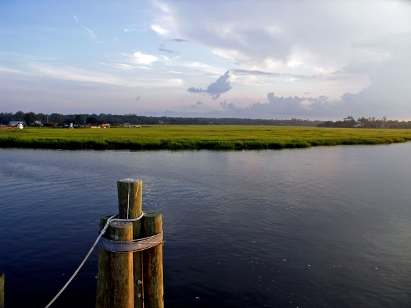  Tidal Marshes, Sapelo Island (destination360.com) 