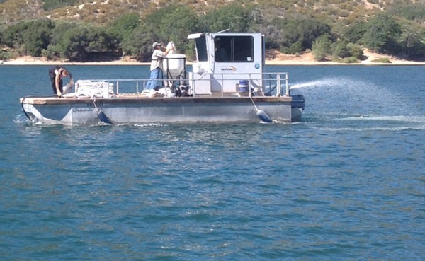   The application pontoons followed zones for the precise application and dosing of the prescribed concentration of PAK 27.  