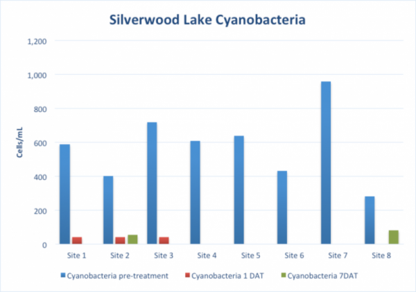   Cyanobacteria cell densities from Silverwood Lake samples through time.  