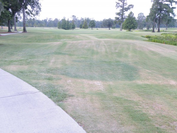      A golf course in drought conditions (golfcoursesuper.blogspot.com).  