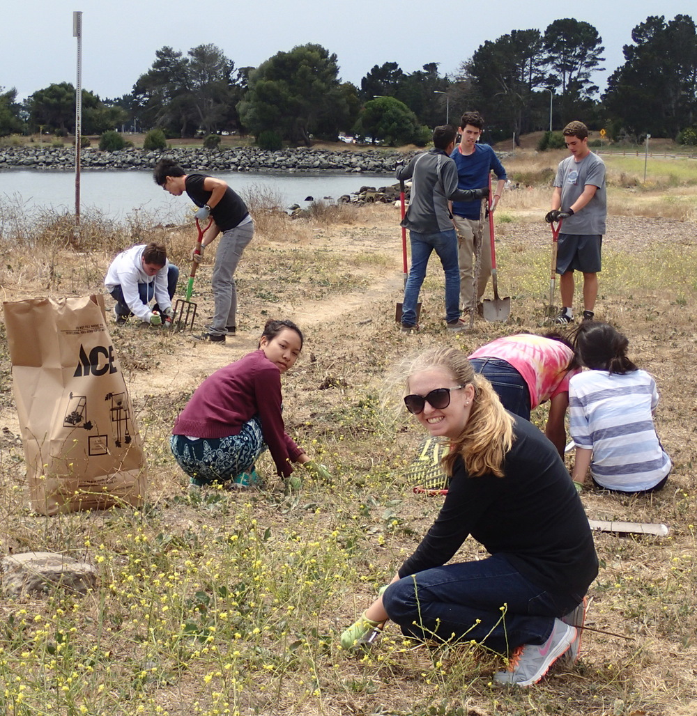  Volunteers at the inaugural Invasive Action Week (cdfgnews.files.wordpress.com). 