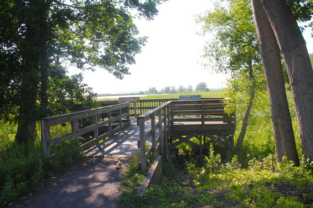  Times Beach Nature Preserve (friendsoftimesbeachnp.org).  