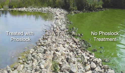   Two adjacent lakes in the the Netherlands (Het Groen Eiland and De Gouden Ham), photo taken six months following a Phoslock® application to Het Groen Eiland lake.  See  Case Study  