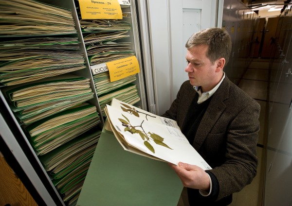  Ken Cameron, director, searches catalogued specimens (news.wisc.edu) 