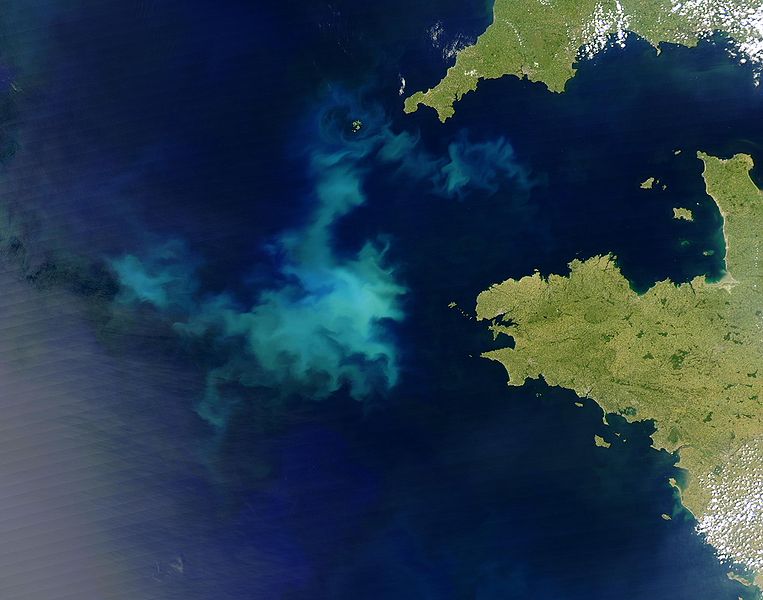  A 2004 algal bloom off the coast of France, also visible from space. Image credit: Jacques Descloitres, wikimedia.org 