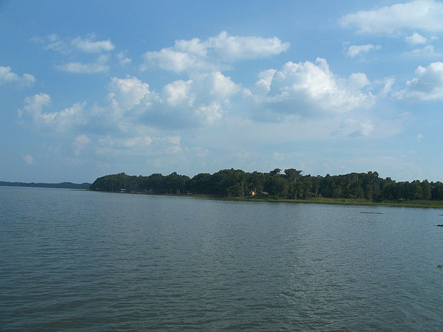  Lake Harris, Florida. Credit: Ebyabe, wikimedia.org 