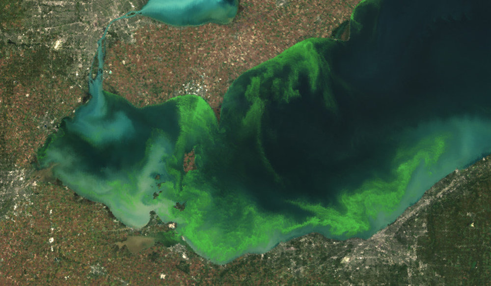  Lake Erie algal bloom. 