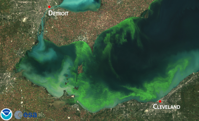  The 2011 Lake Erie algal bloom. Image credit: noaanews.noaa.gov 