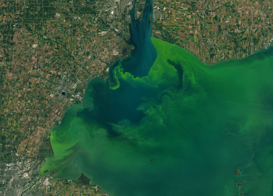  This Landsat 8 image from September 26, 2017, shows a large expanse of the algal bloom in Lake Erie. In late September, the bloom covered more than 700 square miles. Image Credit:  spaceref.com  